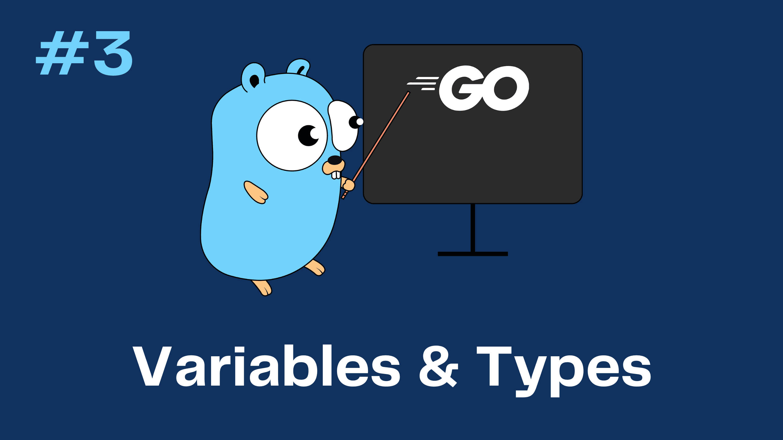 Go (Golang) Tutorial 3 - Variables & Types